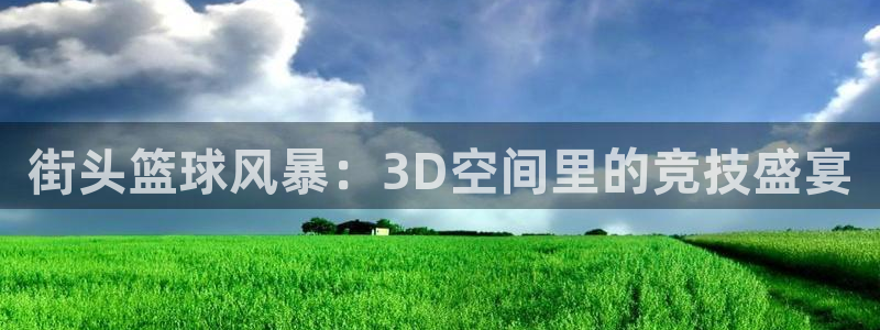 街头篮球风暴：3D空间里的竞技盛宴