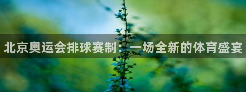 北京奥运会排球赛制：一场全新的体育盛宴