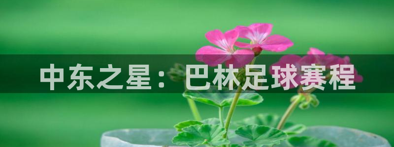 悟空体育app官网下载安卓版：中东之星：巴林足球赛程