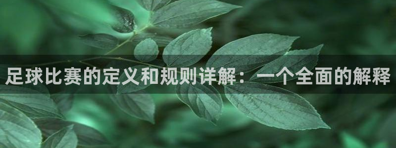 悟空体育与动因体育：足球比赛的定义和规则详解：一个全面的解释