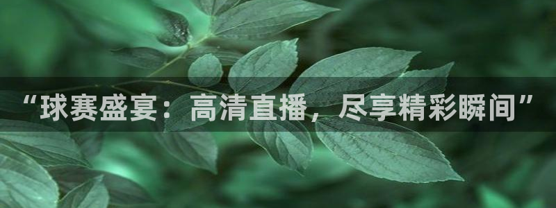 悟空体育官网入口下载安装：“球赛盛宴：高清直播，尽享精彩瞬间